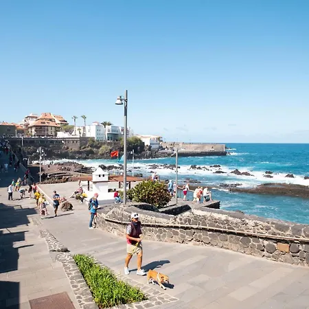Apartamento Boutique In Summa Haus Puerto de la Cruz (Tenerife)